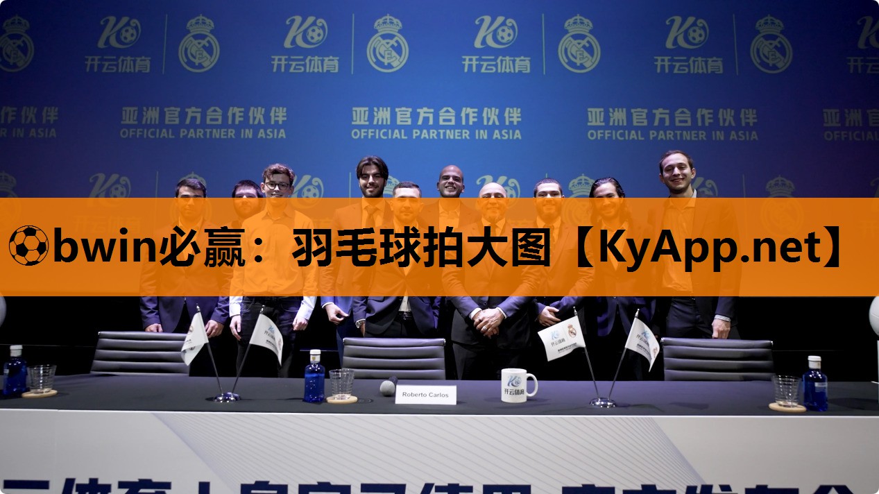 ⚽bwin必赢：羽毛球拍大图