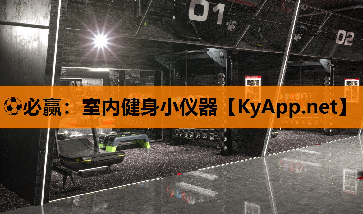 室内健身小仪器