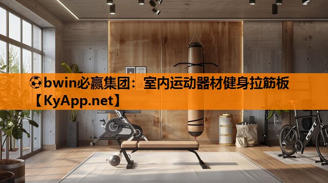 室内运动器材健身拉筋板