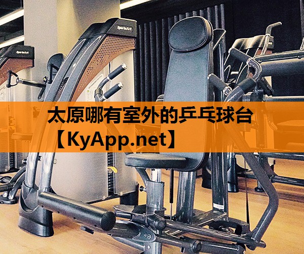 太原哪有室外的乒乓球台