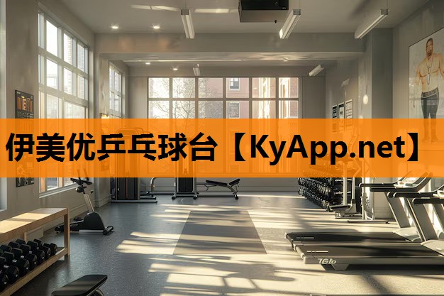 伊美优乒乓球台