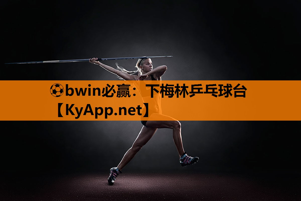 下梅林乒乓球台