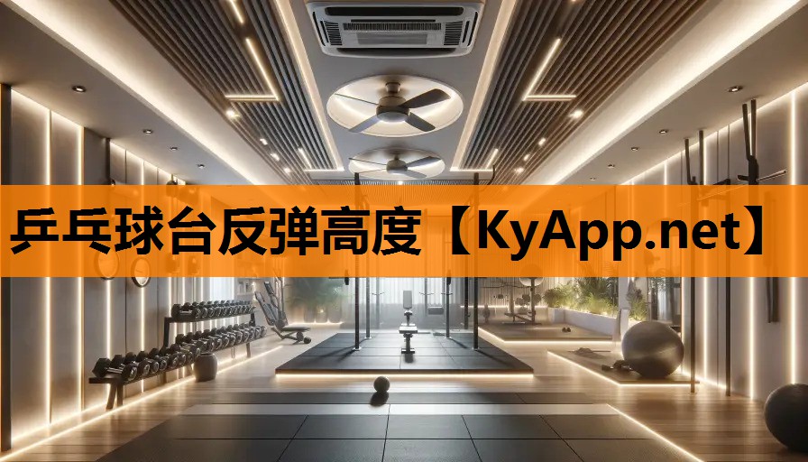乒乓球台反弹高度
