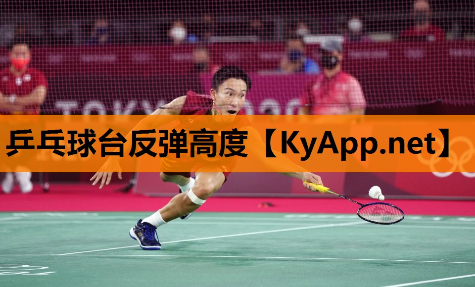 乒乓球台反弹高度