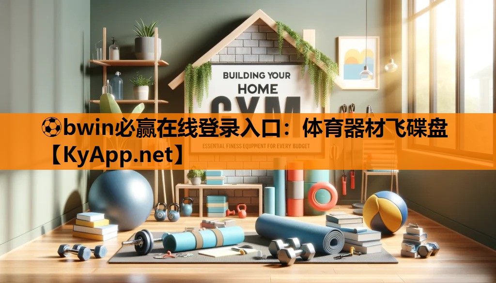 体育器材飞碟盘
