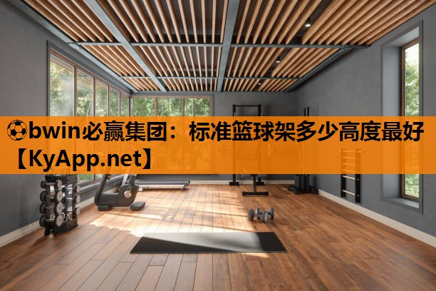 标准篮球架多少高度最好