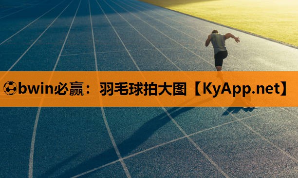羽毛球拍大图