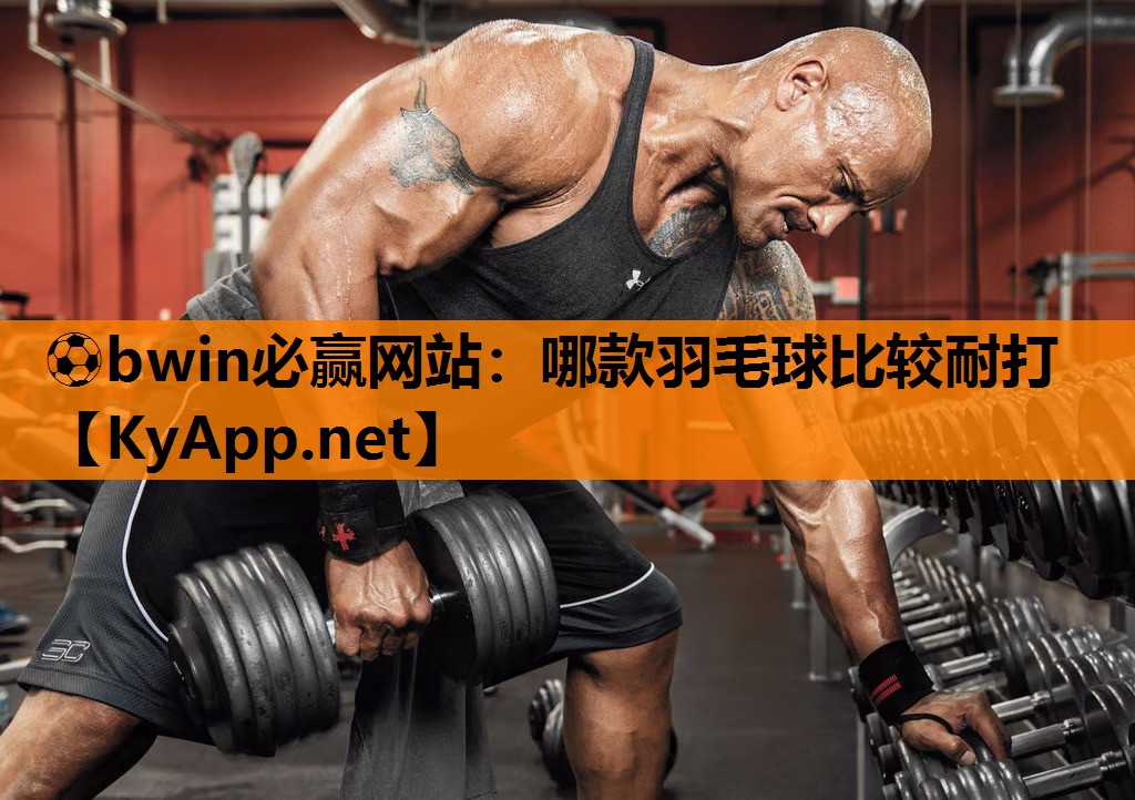 哪款羽毛球比较耐打